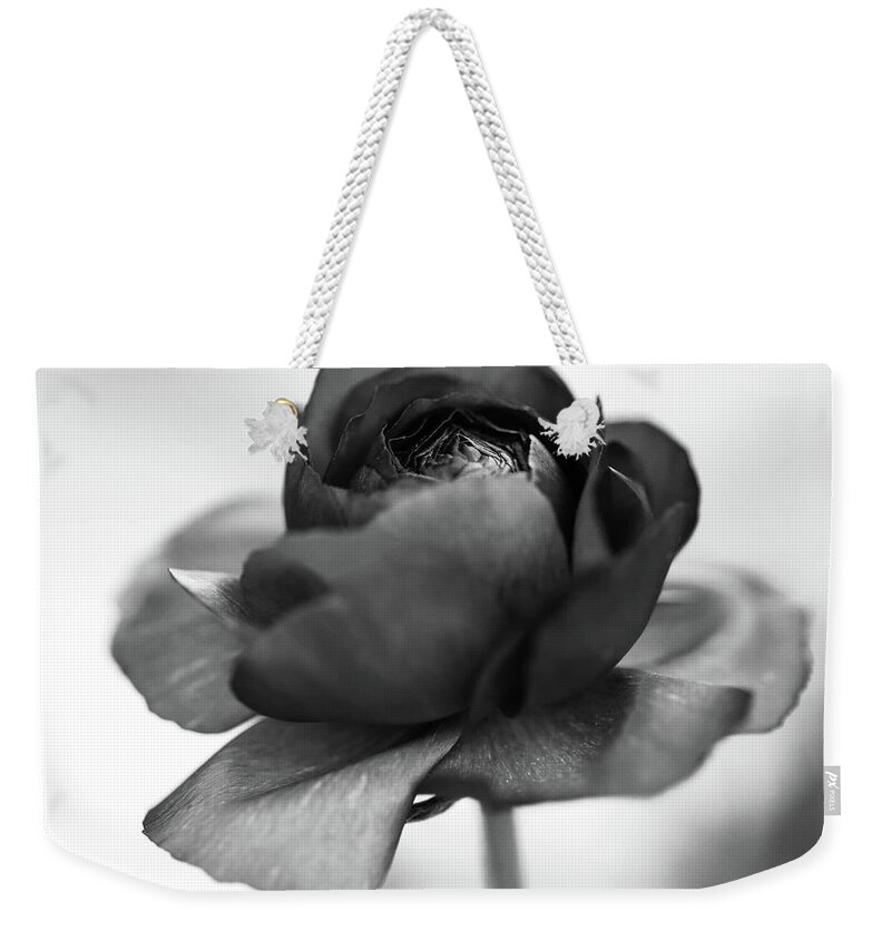 Ranunculus Weekender Tote Bag featuring the photograph Ranunculus BNW by Mary Anne Delgado