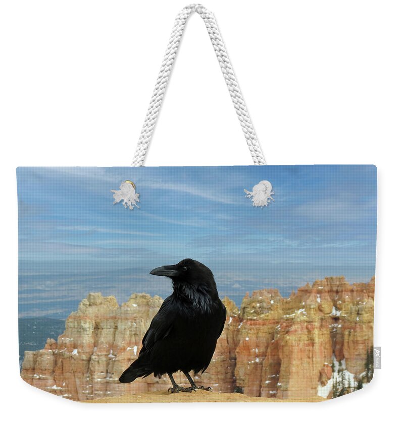 Common Raven Weekender Tote Bag featuring the photograph Raven at Bryce Canyon by Patti Deters