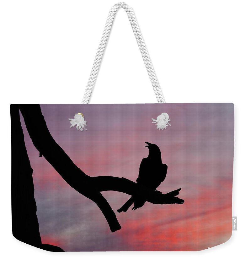 Adult Weekender Tote Bag featuring the photograph Raven Silhouette by Jeff Goulden