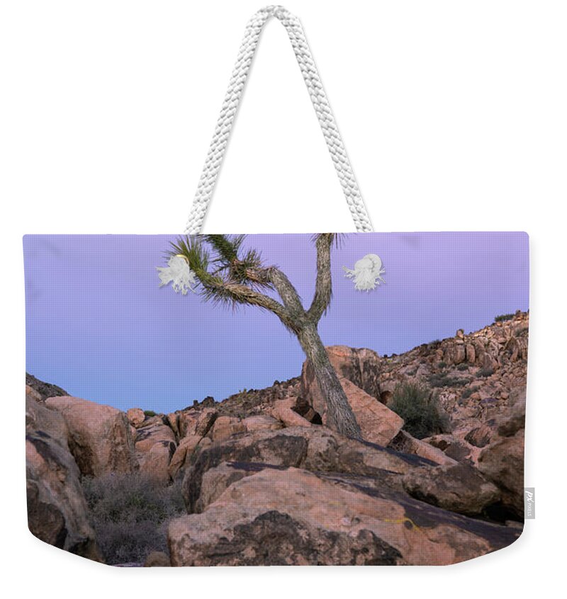 Landscape. Southwest Weekender Tote Bag featuring the photograph Reach For The Moon by Sandra Bronstein