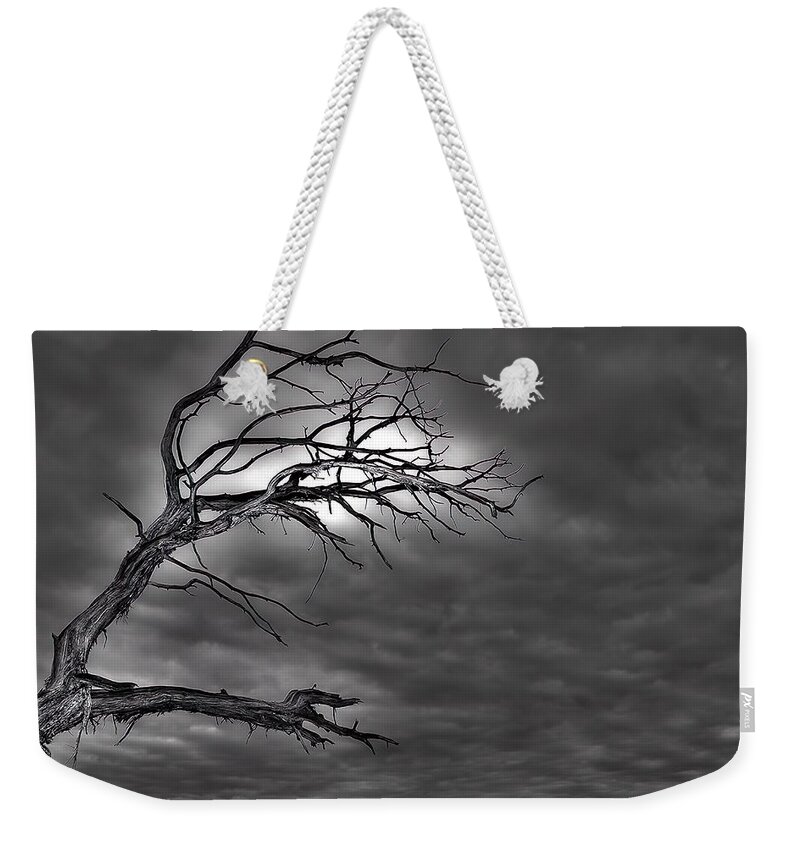 Branches Weekender Tote Bag featuring the photograph Reaching by DArcy Evans