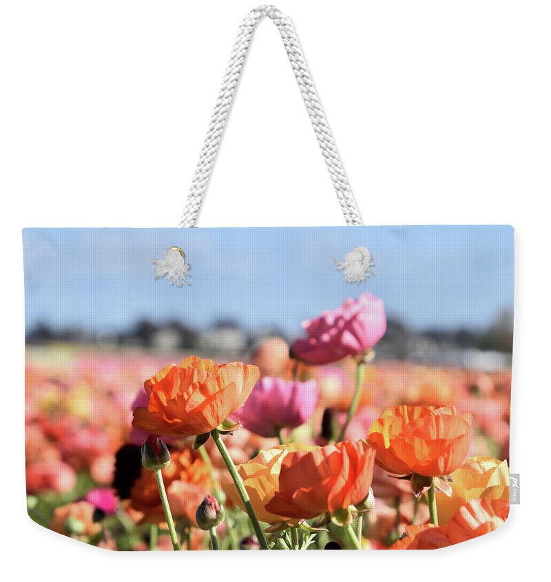 Ranunculus Weekender Tote Bag featuring the photograph Reaching for the Sky by Christina McGoran