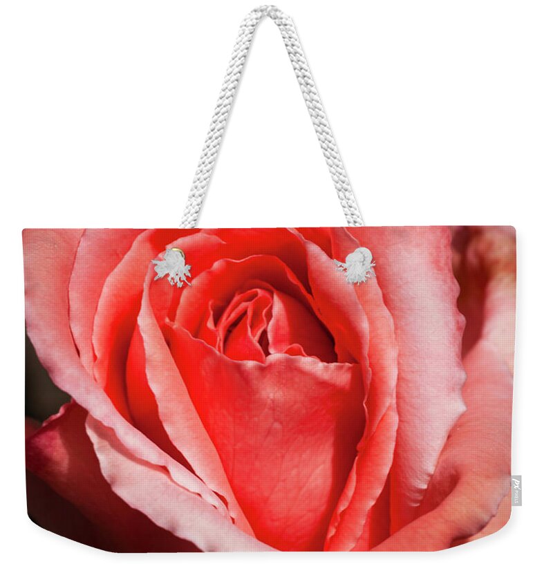 Home Garden Weekender Tote Bag featuring the photograph Reaching Full Bloom by Ryan Huebel