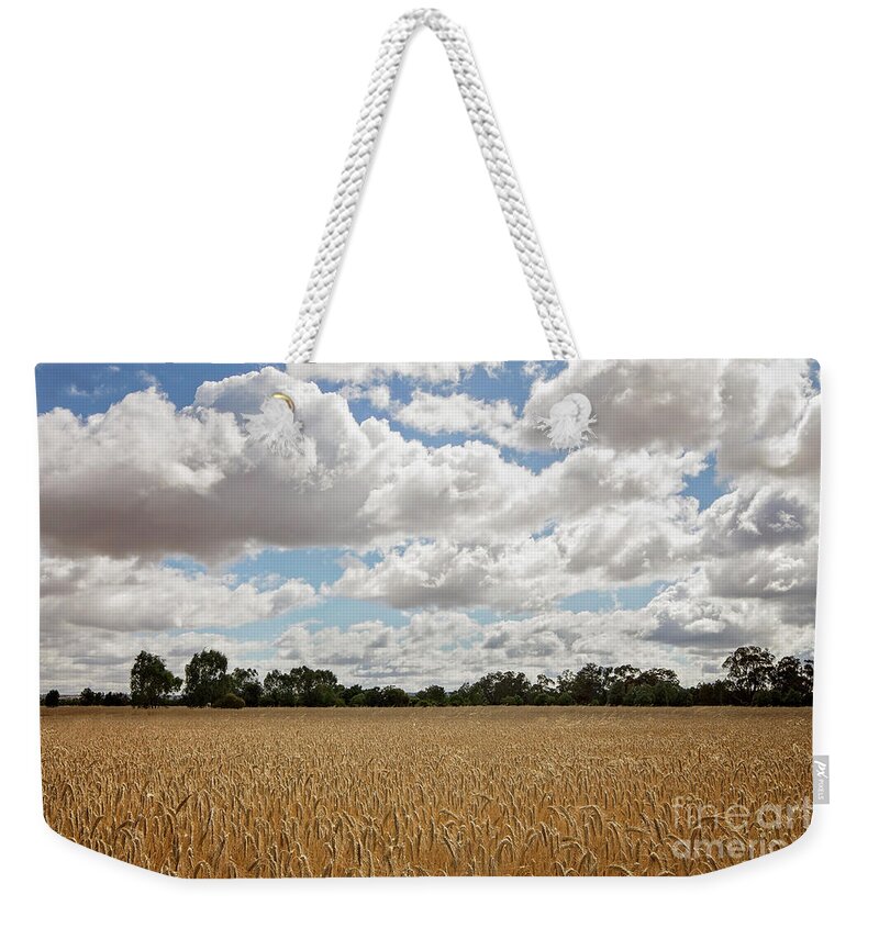 Grain Weekender Tote Bag featuring the photograph Ready for Harvest by Linda Lees