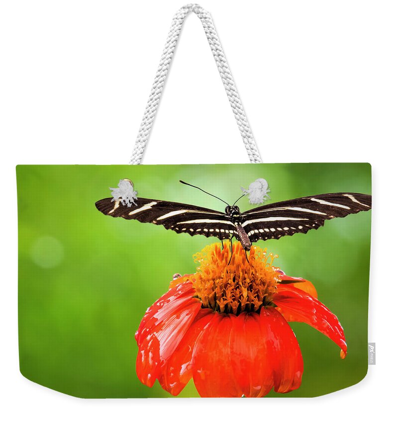 Butterfly Weekender Tote Bag featuring the photograph Ready For Takeoff by Ginger Stein
