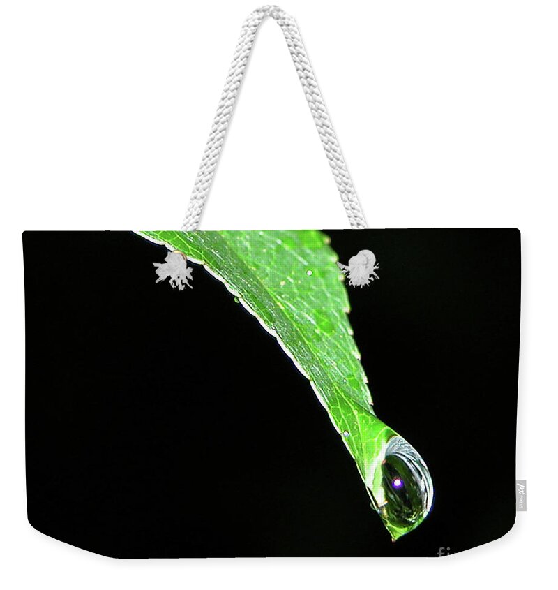 Nature Weekender Tote Bag featuring the photograph Ready to Drop by Mariarosa Rockefeller
