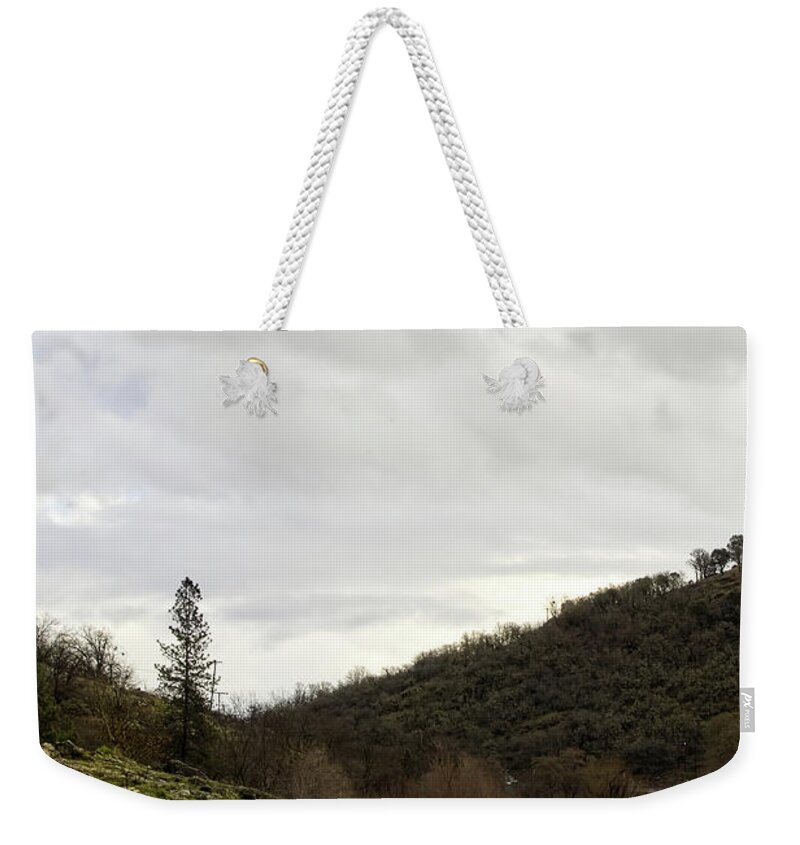 Geese Weekender Tote Bag featuring the photograph Ready to Swim and Find Breakfast by Theresa Fairchild