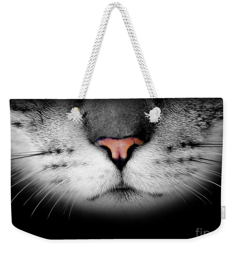 Cat Weekender Tote Bag featuring the digital art Realistic Cute Furry Cat Face by Laura Ostrowski