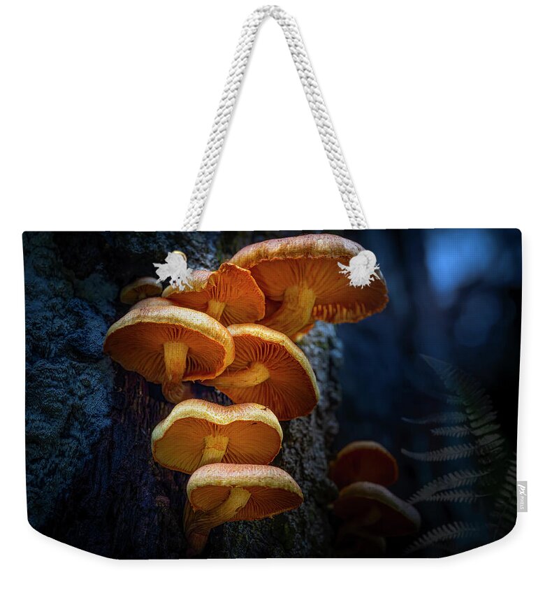 Mushrooms Weekender Tote Bag featuring the photograph Realm of the Mushroom by Mark Andrew Thomas