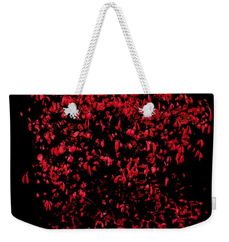 Red Weekender Tote Bag featuring the photograph Red ________ by Leon DeVose