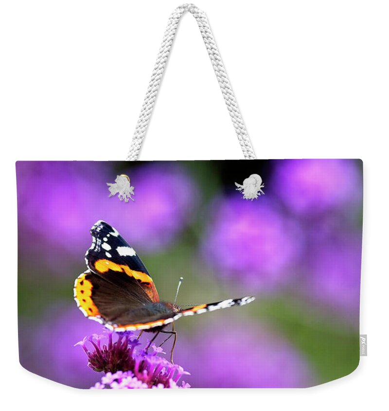 Red Admiral Weekender Tote Bag featuring the photograph Red Admiral butterfly nectaring by Tony Mills