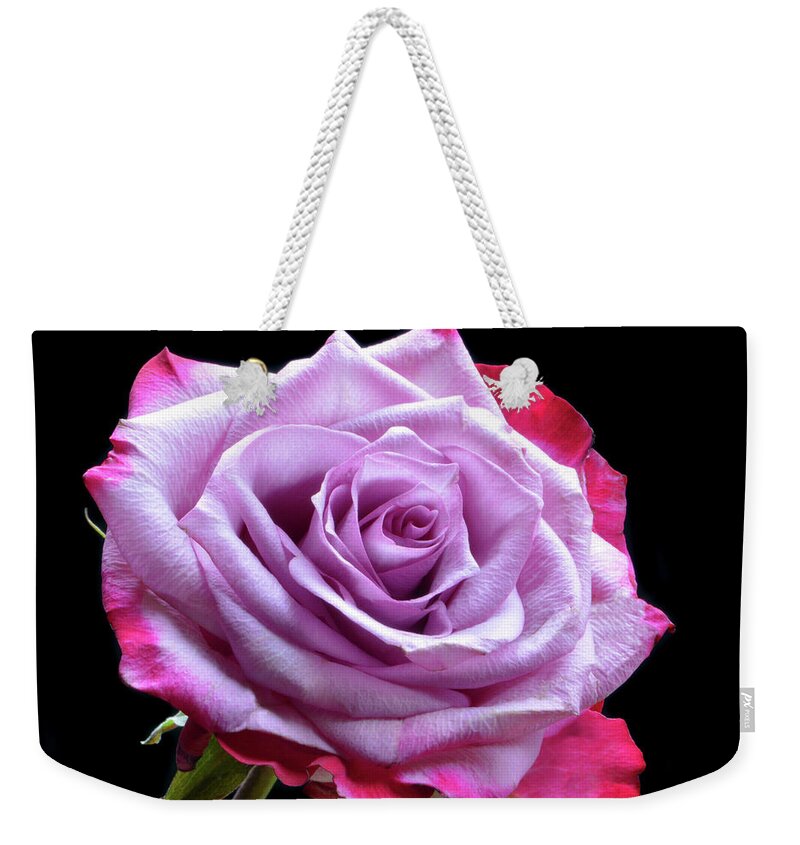 Rose Weekender Tote Bag featuring the photograph Red and Pink Rose by Terence Davis