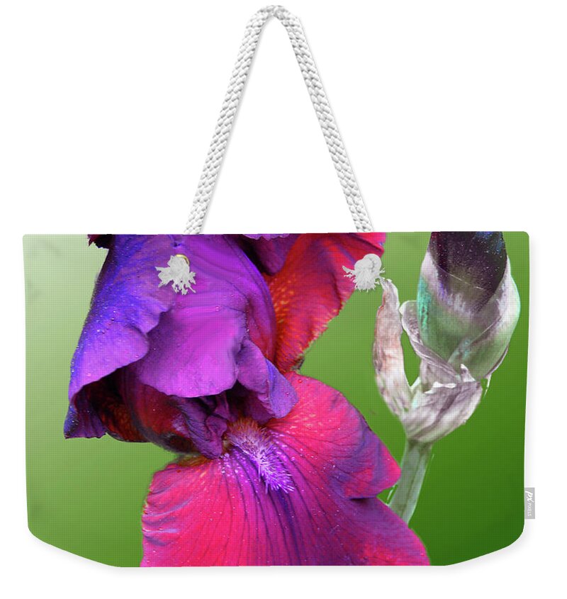 Flora Weekender Tote Bag featuring the photograph Red and Purple Iris by Mariarosa Rockefeller