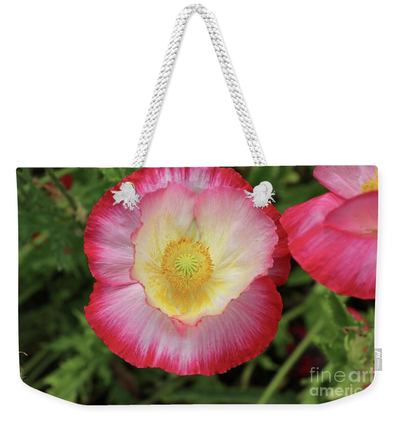 Red Weekender Tote Bag featuring the photograph Red and White Poppy 3502 by Jack Schultz