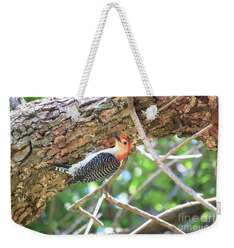 Woodpeckers Weekender Tote Bag featuring the photograph Red-bellied Woodpecker by Anita Streich