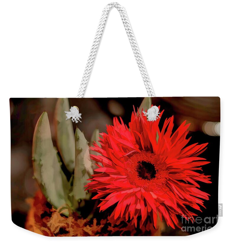 Daisy Weekender Tote Bag featuring the photograph Red Daisy and The Cactus by Diana Mary Sharpton