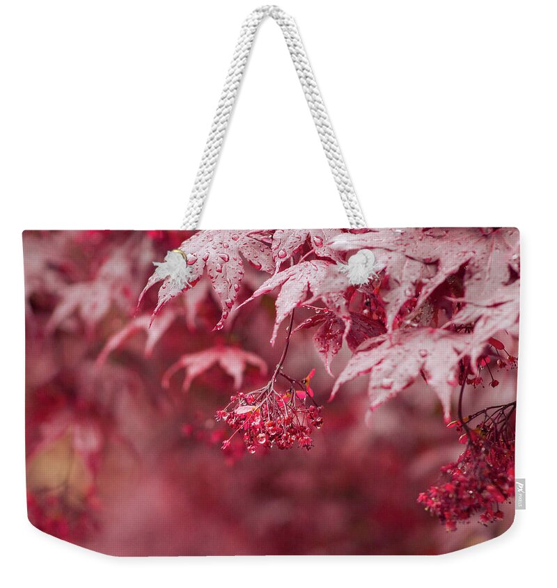 Red Weekender Tote Bag featuring the photograph Red Emperor Maple in Spring by Auden Johnson
