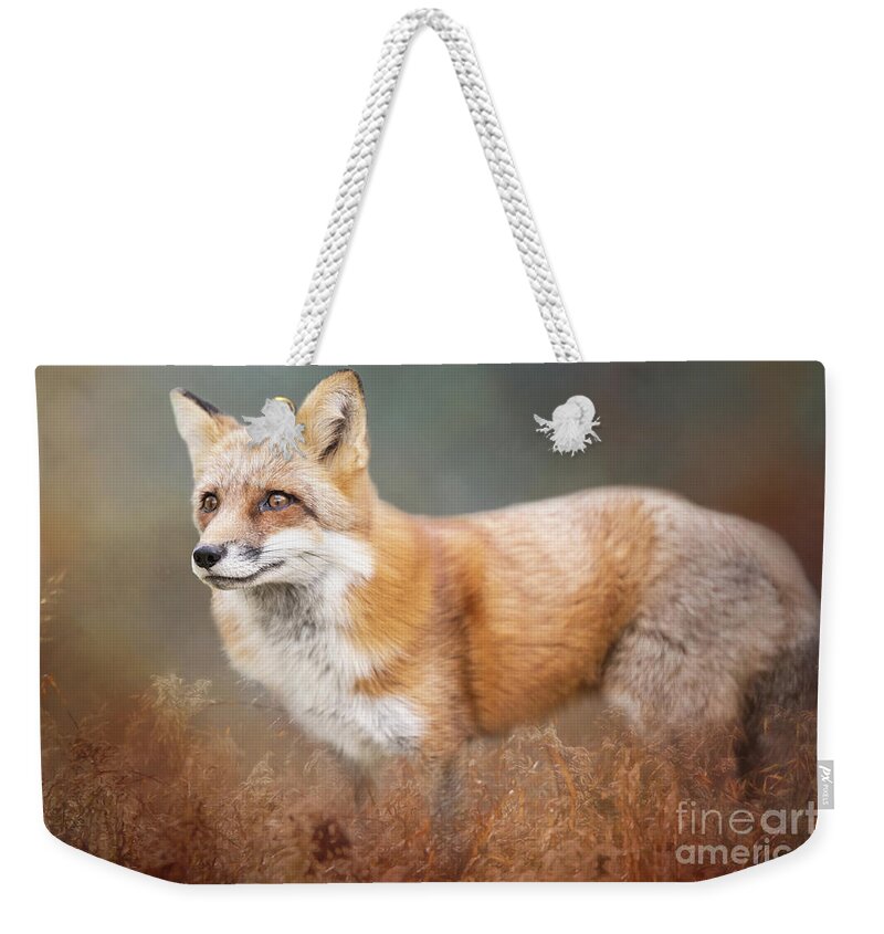 Wildlife Weekender Tote Bag featuring the photograph Red Fox by Ed Taylor