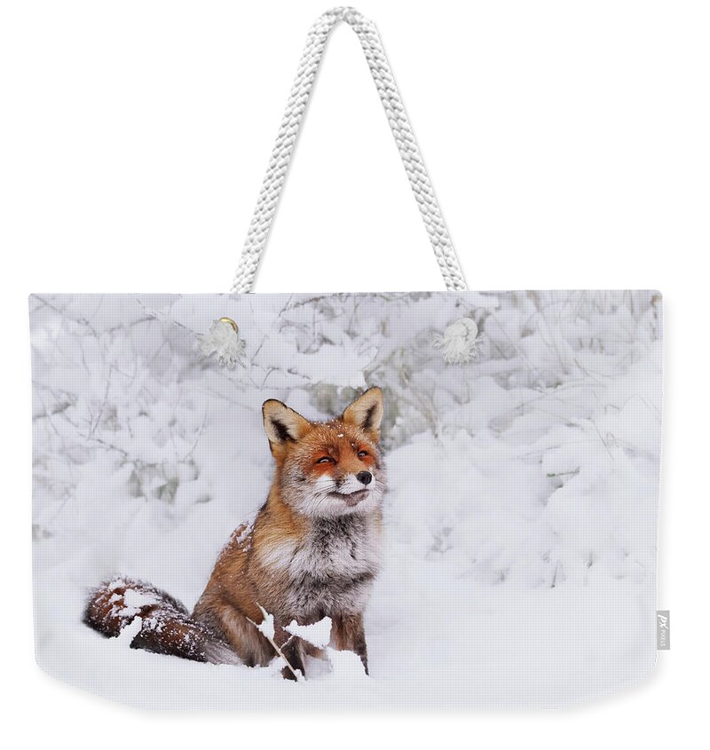 Red Fox In The Snow Weekender Tote Bag featuring the photograph Red Fox in the Snow Series - Dreaming of a White Christmas by Roeselien Raimond