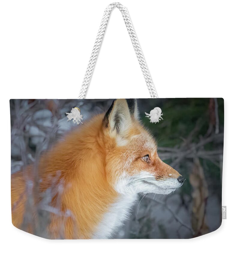(vulpes Vulpes) Weekender Tote Bag featuring the photograph Red Fox Profile by James Capo