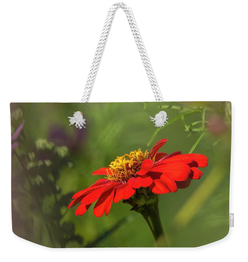 Blurred Edges Weekender Tote Bag featuring the photograph Red is the Primary Color Floral by Sandra J's