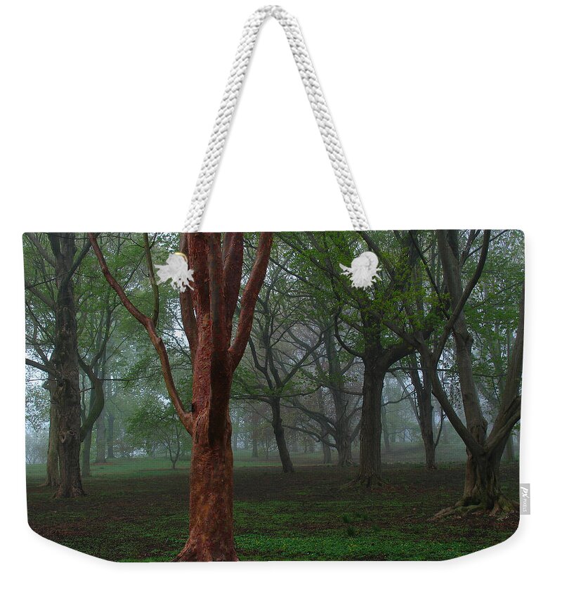Red Weekender Tote Bag featuring the photograph Red by Juergen Roth