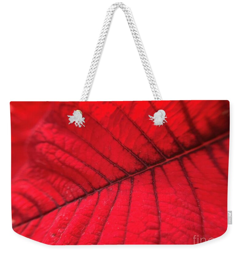 Poinsettia Weekender Tote Bag featuring the photograph Red Leaf by Catherine Wilson