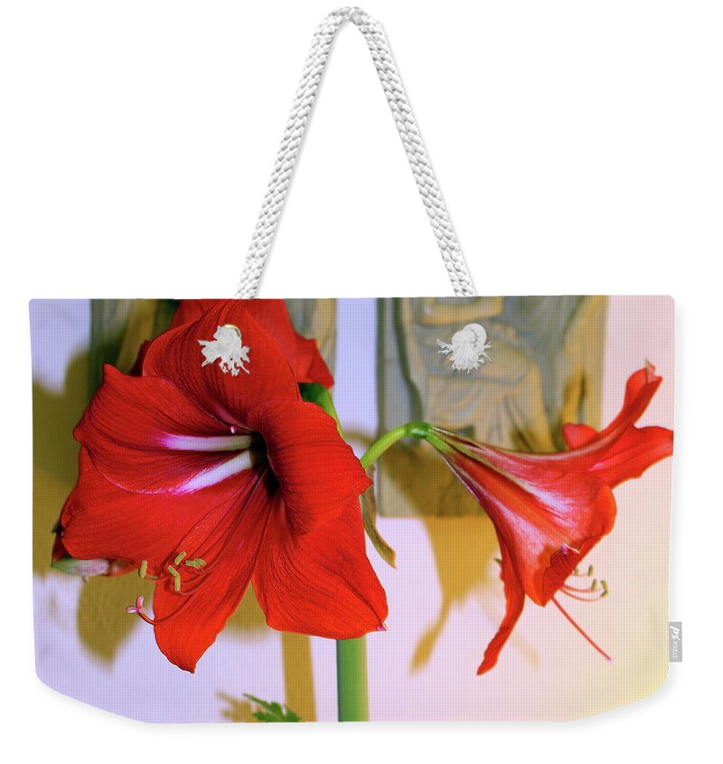Red Lion Amaryllis Weekender Tote Bag featuring the digital art Red Lion Amaryllis by Jerzy Czyz
