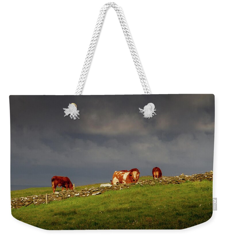 Red Cow Weekender Tote Bag featuring the photograph Red on the Horizon by Mark Callanan