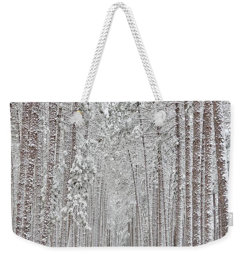 Winter Weekender Tote Bag featuring the photograph Red Pine in the Winter Time by Michael Peychich