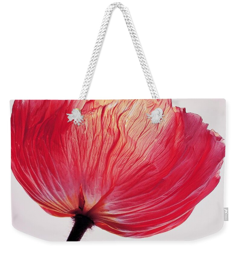 Christinemignon Weekender Tote Bag featuring the photograph Red Poppy by Christine Mignon