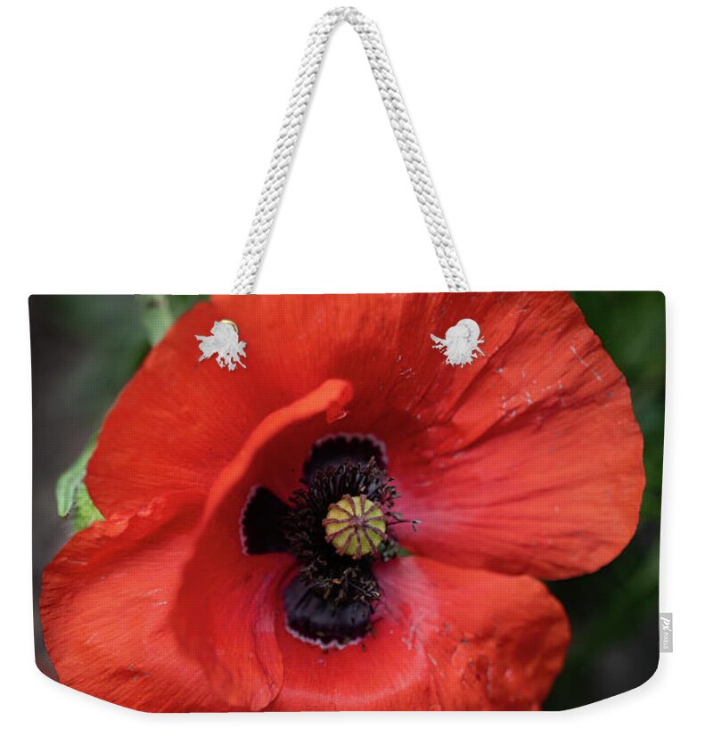 Poppy Weekender Tote Bag featuring the photograph Red Poppy Flower by Artur Bogacki