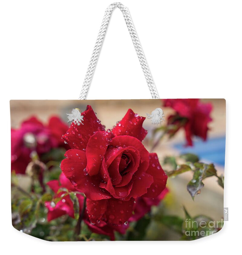 Bloom Weekender Tote Bag featuring the photograph Red rose and sparkling water pearls by the pool by Adriana Mueller