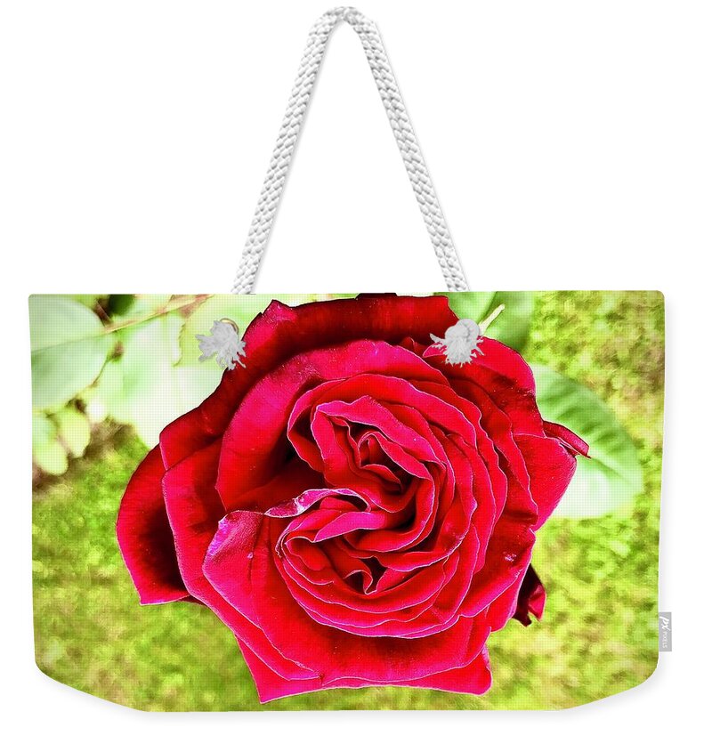 Red Weekender Tote Bag featuring the photograph Red Rose by Gordon James