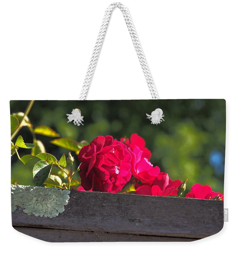 Botanical Weekender Tote Bag featuring the photograph Red Rover Peeking Over by Richard Thomas