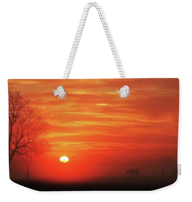 Sunrise Weekender Tote Bag featuring the photograph Red Sky Sunrise 2 by Jerry Connally