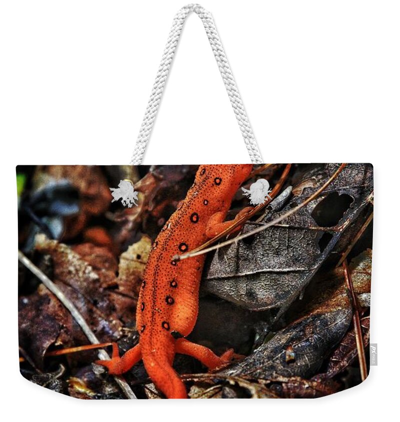 Photo Weekender Tote Bag featuring the photograph Red Spotted Newt by Evan Foster