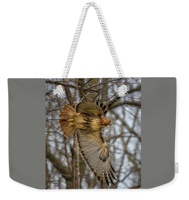 Birds Weekender Tote Bag featuring the photograph Red Tail by Ray Silva