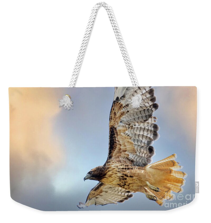 Bird Species Weekender Tote Bag featuring the photograph Red-tailed Hawk by Steven Krull