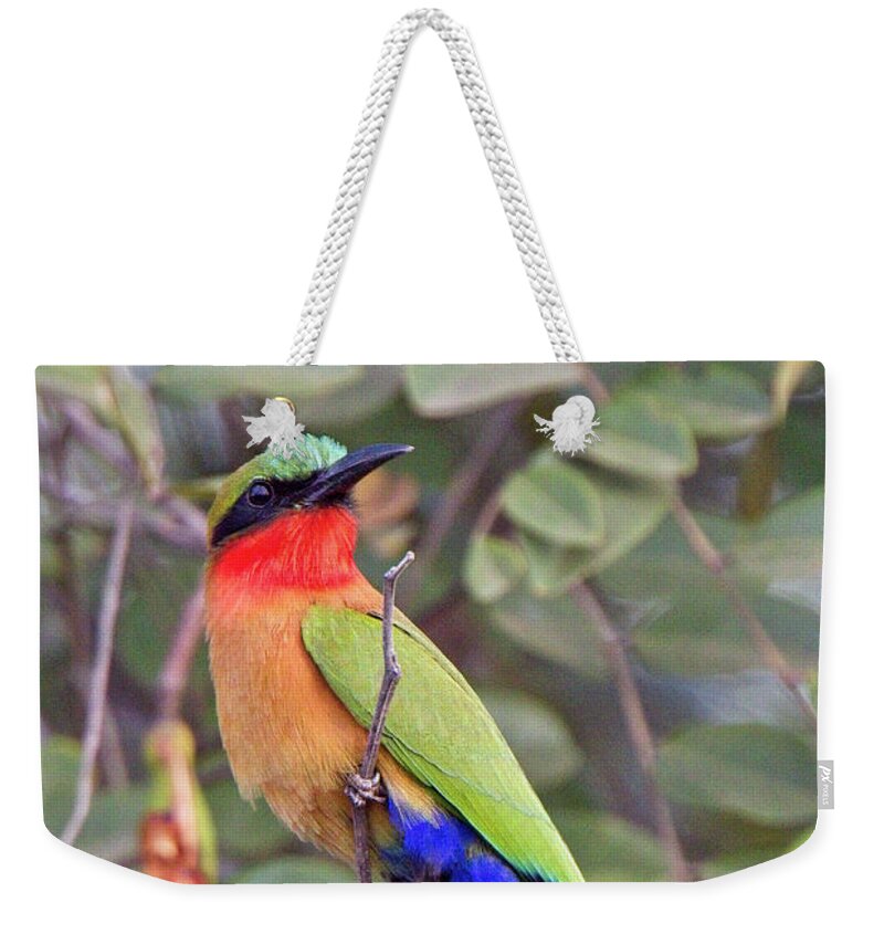 Bush Weekender Tote Bag featuring the photograph Red-throated Bee-eater, Merops bulocki by Tony Mills