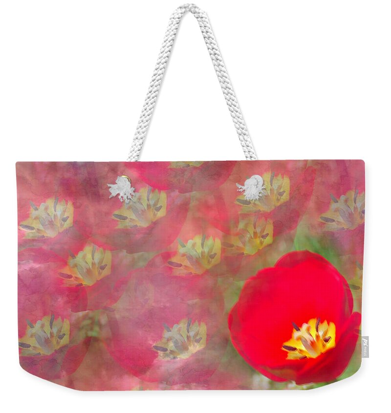Tulip Weekender Tote Bag featuring the photograph Red Tulip Art by Aimee L Maher ALM GALLERY