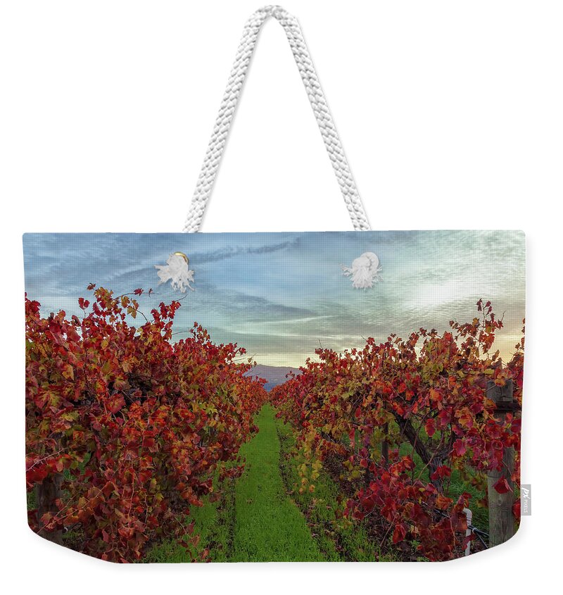 Nature Weekender Tote Bag featuring the photograph Red Vines 3 by Jonathan Nguyen