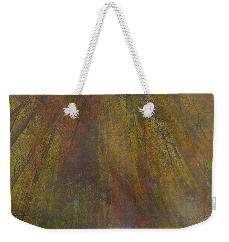 Forest Weekender Tote Bag featuring the photograph Red Weir by Cynthia Dickinson