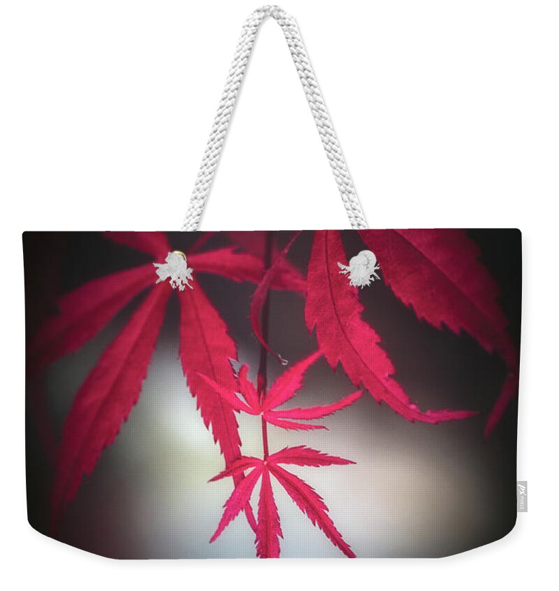 Leaves Weekender Tote Bag featuring the photograph Red with Light by Philippe Sainte-Laudy