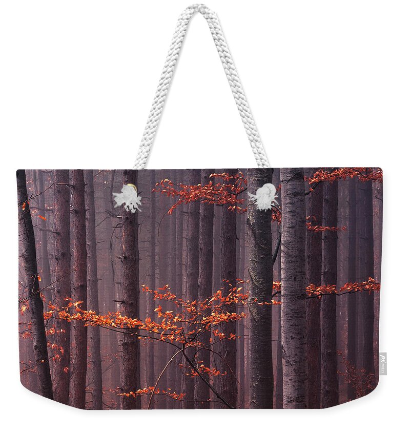 Mountain Weekender Tote Bag featuring the photograph Red Wood by Evgeni Dinev