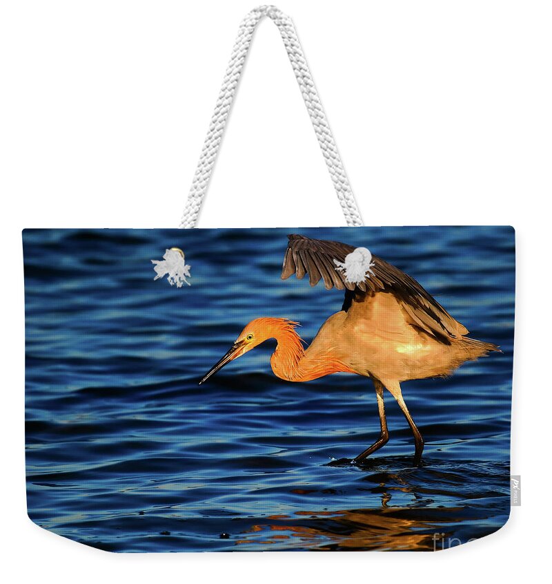 Reddish Egret Weekender Tote Bag featuring the photograph Reddish Egret Canopy In Blue by John F Tsumas