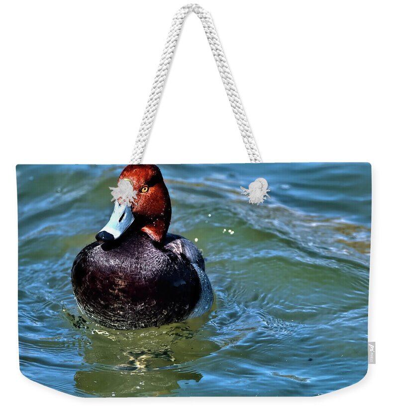 Redhead Duck Weekender Tote Bag featuring the photograph Redhead Duck by Carol Montoya