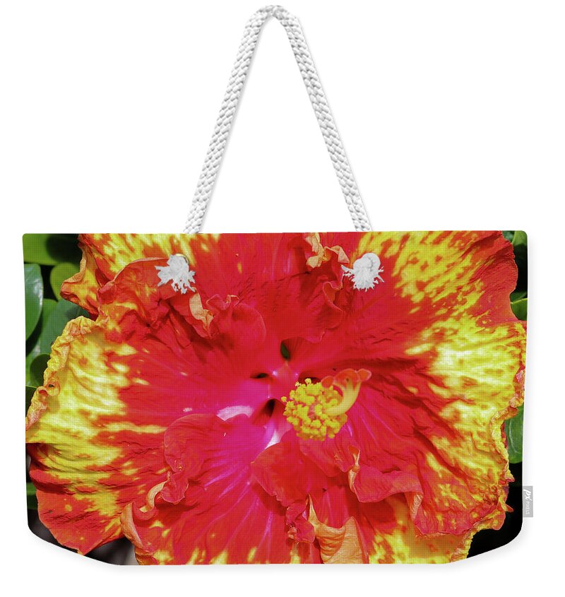 Kauai Weekender Tote Bag featuring the photograph Redhots by Tony Spencer