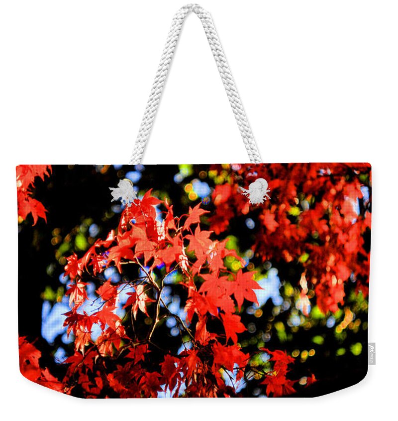 Red Weekender Tote Bag featuring the photograph Reds of an Autumn Afternoon - An Annapolis Impression by Steve Ember