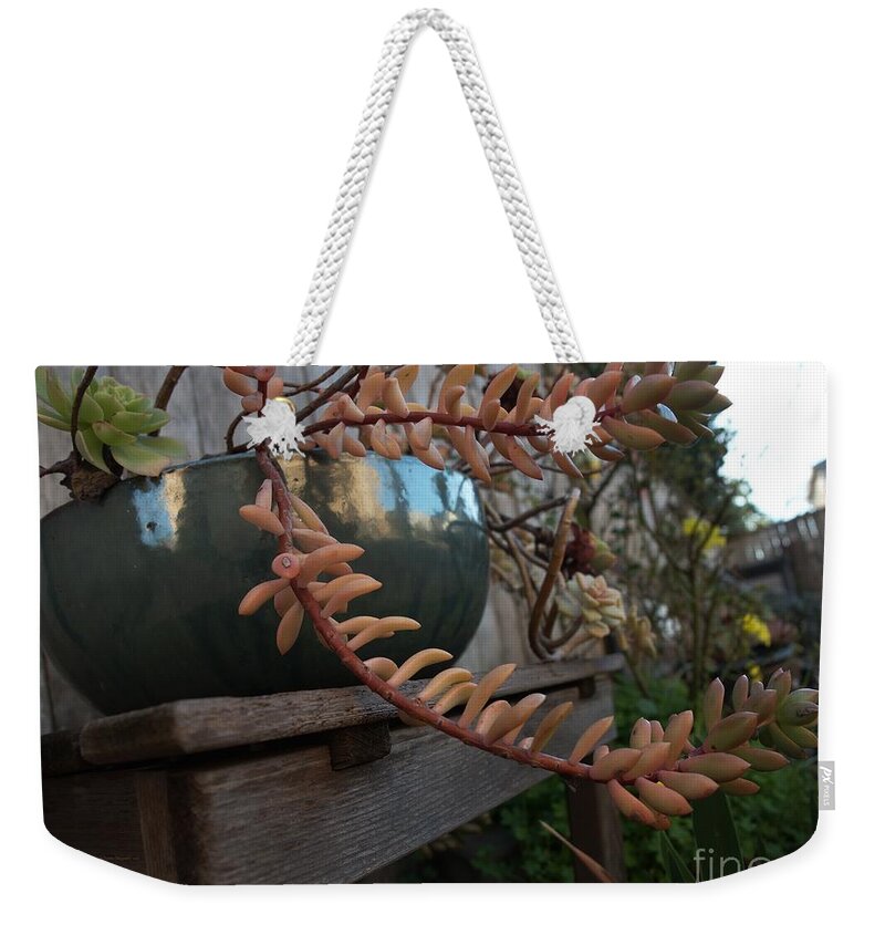 Backyard Weekender Tote Bag featuring the photograph Reflecting the Blue Sky by Richard Thomas
